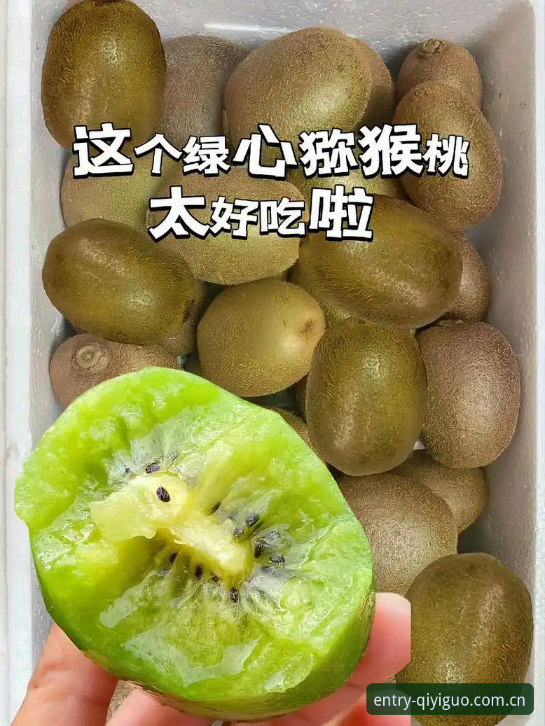揭秘奇异果体育官方网址：从打不开到稳定入手的全路径解析